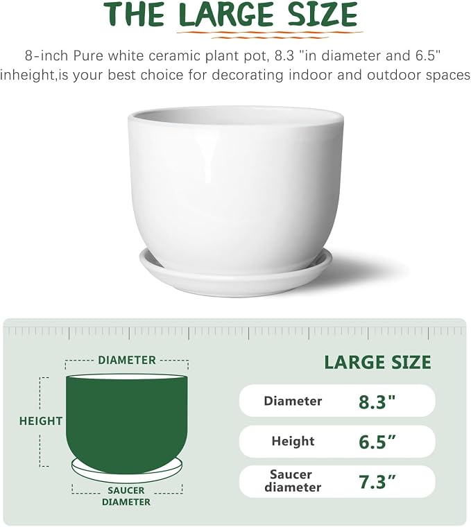 8 Inch Ceramic Planter, Plant Pots - Image 2
