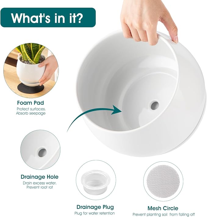vancasso 3-Pack Ceramic Plant Pots, 3.7/4.8/6.2 Inch Indoor Planters - Image 3