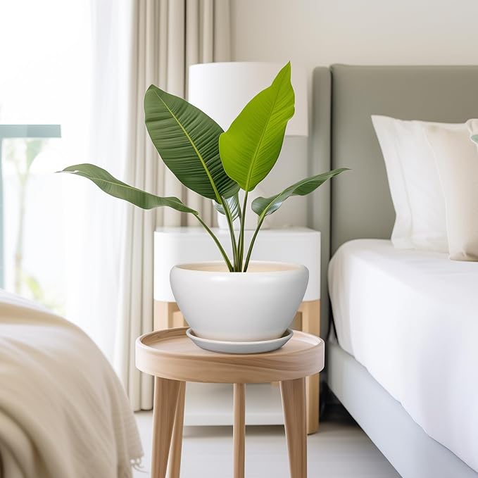 Ceramicfor Ceramic Planter - Image 7