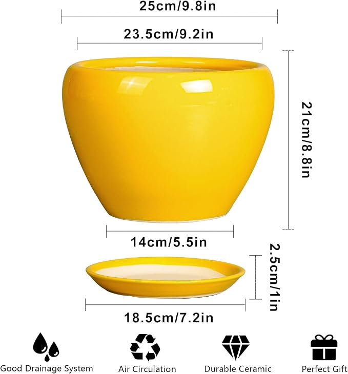 Ceramicfor Ceramic Planter - Image 3
