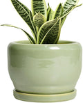 SQOWL Ceramic Pot for Plants by SQOWL