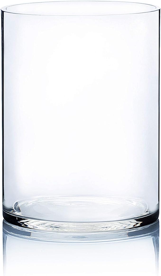 WGV Cylinder Vase, Width 9", Height 12", Floral Container, Planter Terrarium by WGVInternational-OpusGlassware