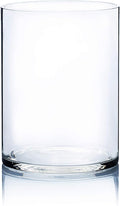 WGV Cylinder Vase, Width 9", Height 12", Floral Container, Planter Terrarium by WGVInternational-OpusGlassware