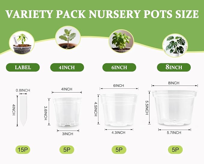 RooTrimmer 15 Pack 8/6/4 Inch Clear Nursery Pots - Image 2