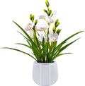 Fake Orchid Plant 19" Tall, Realistic Touch Leaves, Potted Cymbidium Artificial by Unknown