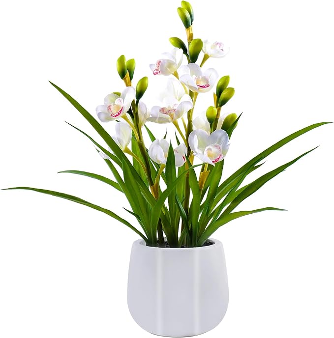 Fake Orchid Plant 19" Tall, Realistic Touch Leaves, Potted Cymbidium Artificial by Unknown