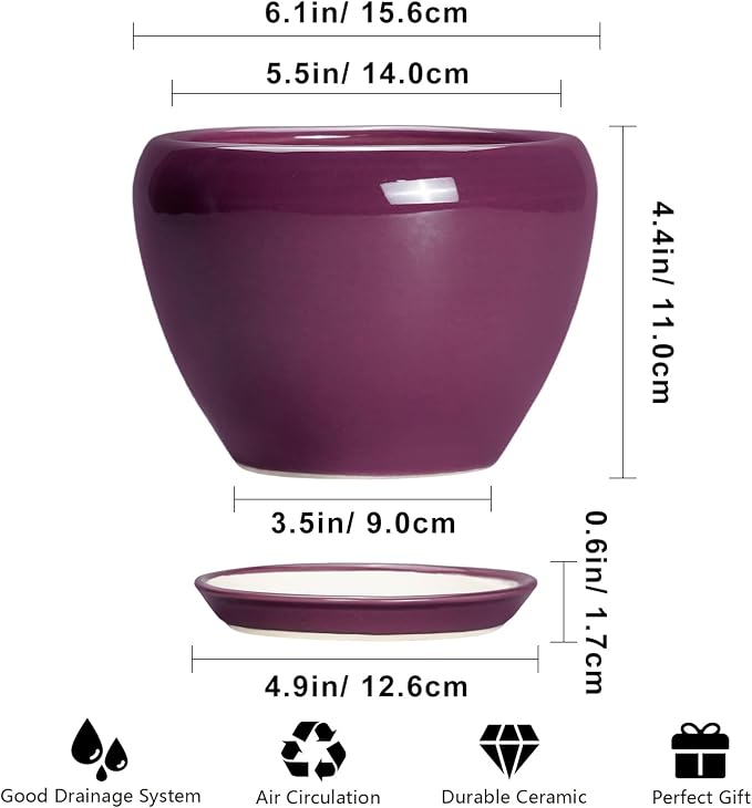 Ceramicfor Ceramic Pots for Plants 6 Inch - Image 3