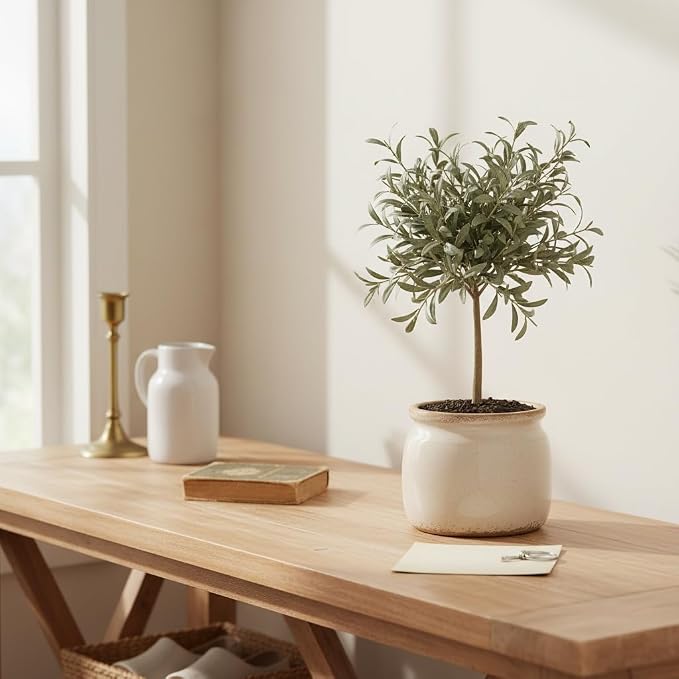Ceramic Planter & Vase for Wabi Sabi Decor, Nordic Minimalist Flower Pot | 6.3 - Image 6