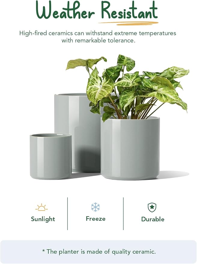 LE TAUCI 10+8+6 Inch Ceramic Pots - Image 7
