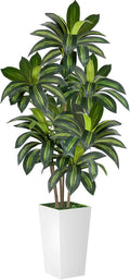 VIVATREES Dracaena Tree 6FT Artificial, 72in Tall Faux Dracaena Tree by VIVATREESADDINGCOLORTOYOURSPACE
