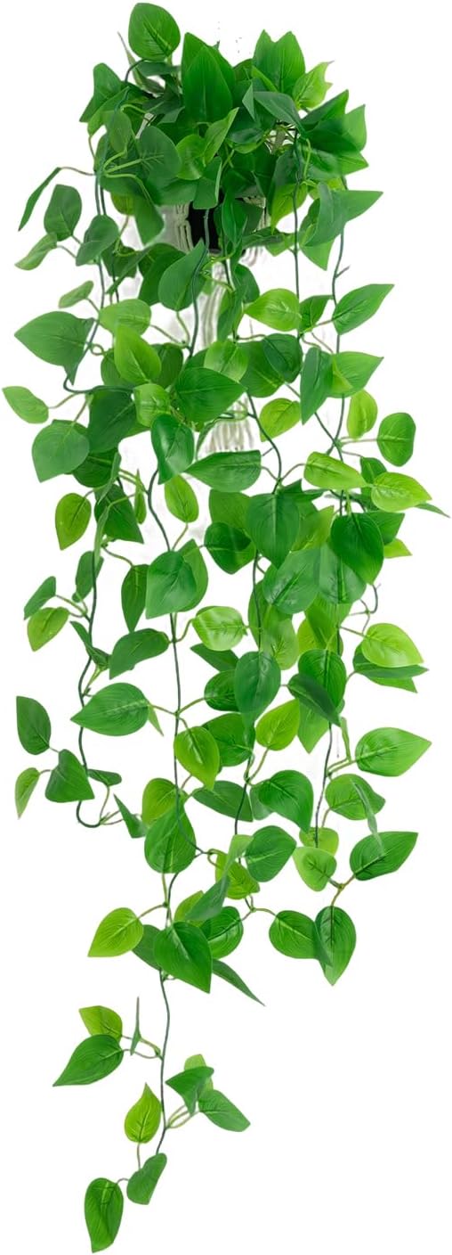 Freyalife Fake Hanging Plants for Room Decor by Unknown