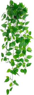 Freyalife Fake Hanging Plants for Room Decor by Unknown