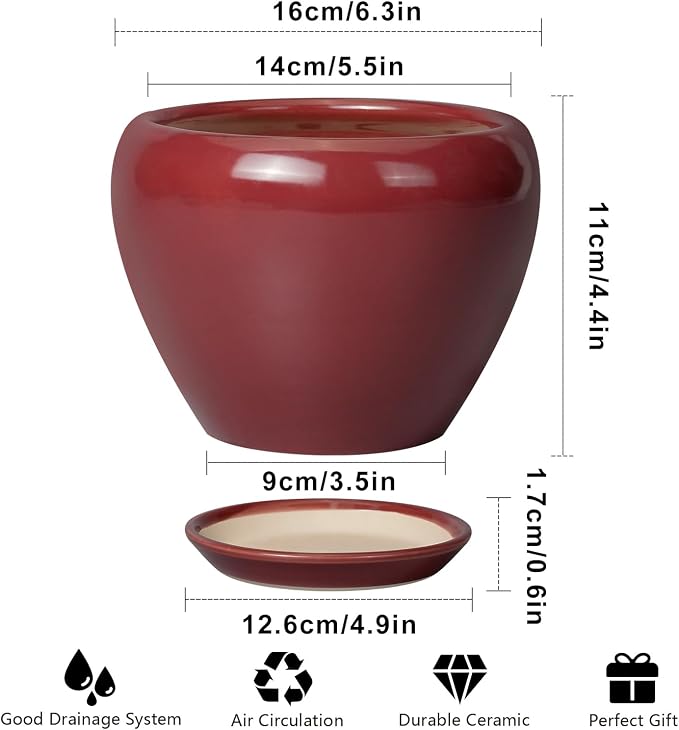 Ceramicfor Ceramic Pot for Plants - Image 3