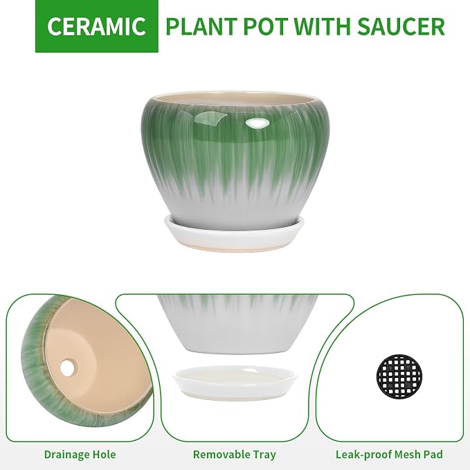 Deep Dream 8 Inch Plant Pots- Ceramic Pots - Image 7
