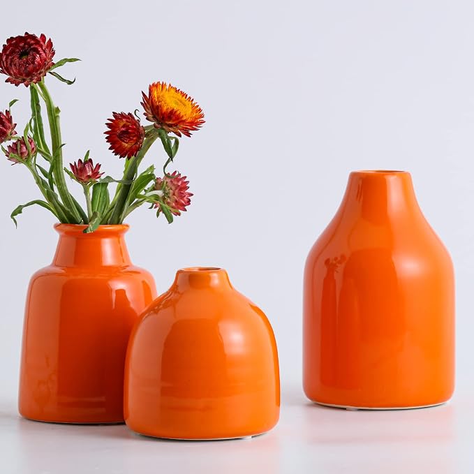Small Vase Set of 3 for Modern Home Decor, Ceramic Vases for Centerpieces by hjn