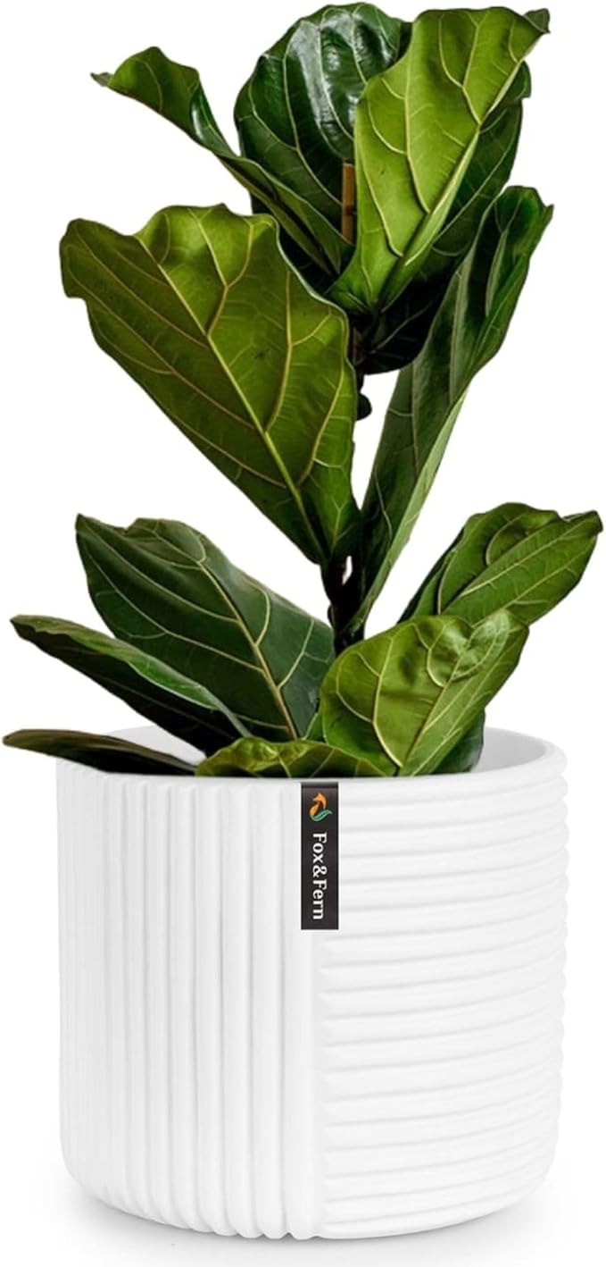 Fox & Fern Large Planter for Indoor or Outdoor, Matte White, 12 Inch | UV & by FoxFern