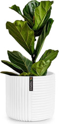 Fox & Fern Large Planter for Indoor or Outdoor, Matte White, 12 Inch | UV & by FoxFern