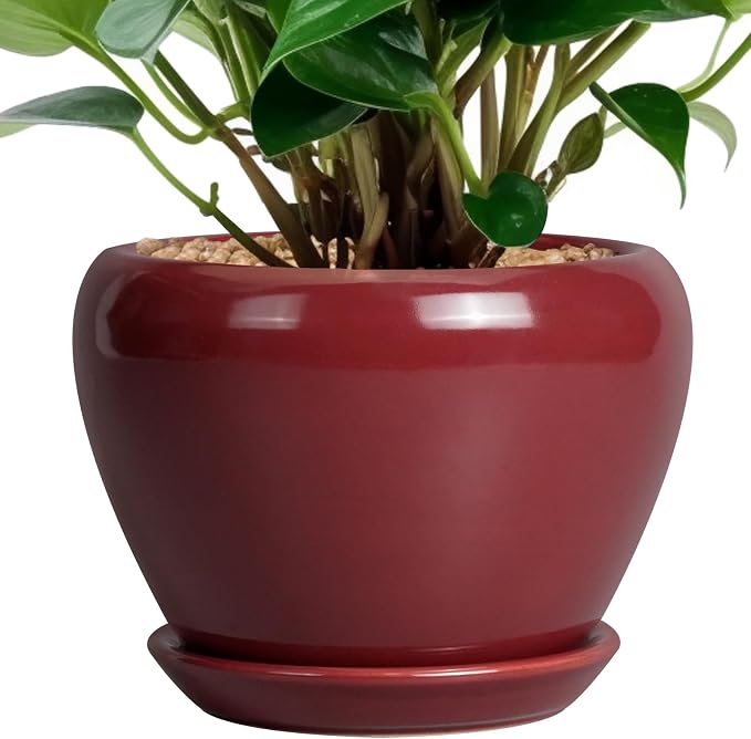 Ceramicfor Ceramic Pot for Plants by Ceramicfor