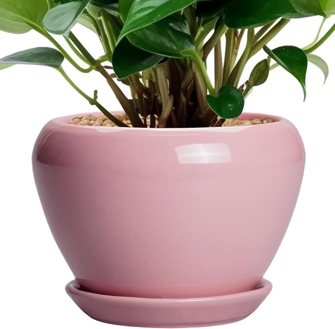 Ceramicfor 6 Inch Plant Pot by Ceramicfor