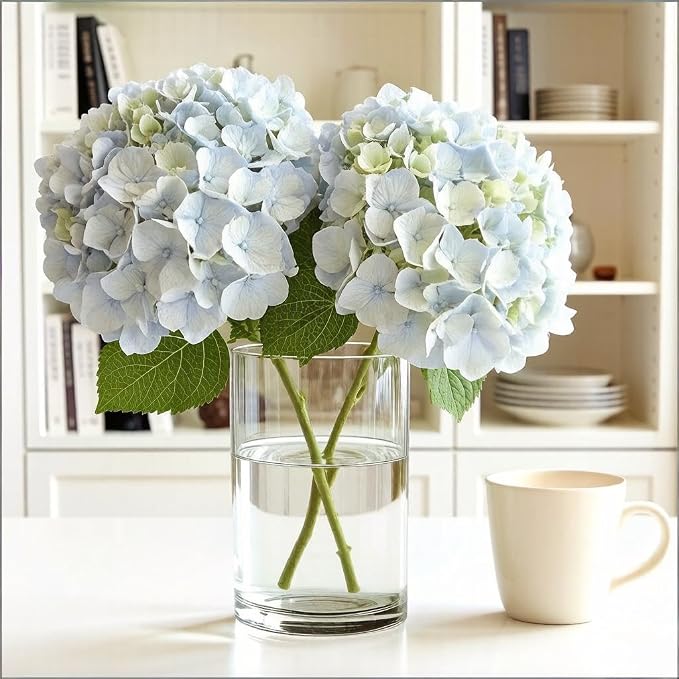 CYS EXCEL Cylinder Clear Glass Vase | Multiple Size Choices Glass Flower Vase - Image 5