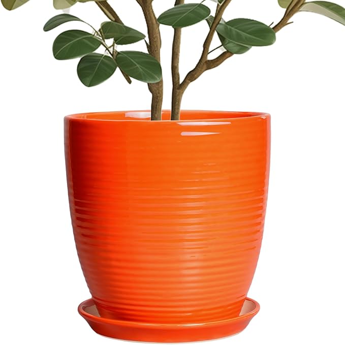 10 Inch Plant Pot, Ceramic Planters by EPFamily