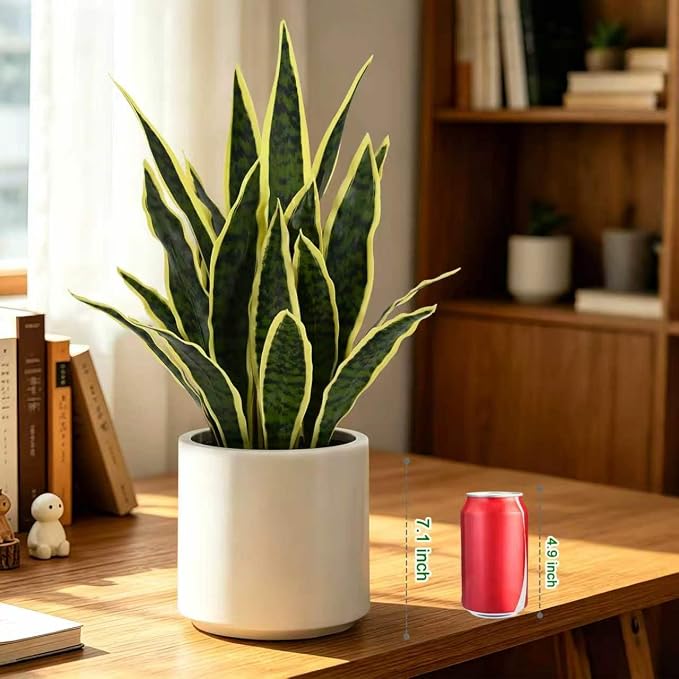 Fake Snake Plant 22" Tall, Realistic Touch Leaves, Potted Artificial Plants - Image 6