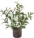 AlphaAcc Fake Faux Small Olive Potted Plant 18" Rustic Cement Planter | by AlphaAcc