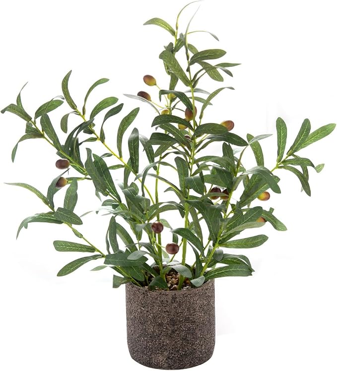 AlphaAcc Fake Faux Small Olive Potted Plant 18" Rustic Cement Planter | by AlphaAcc