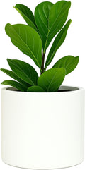 Fox & Fern Large Planter for Indoor or Outdoor, Matte White, 8 Inch | UV & by FoxFern