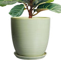 12 Inch Pots for Plants by EPFamily