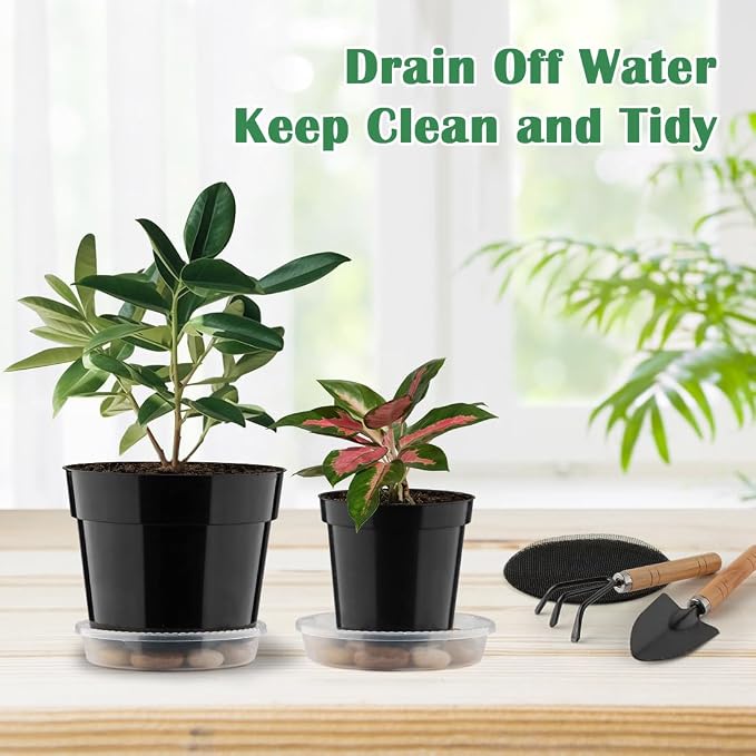 RooTrimmer 20 Pack Plant Pots, 6 Inch Plastic Plant Planter - Image 5
