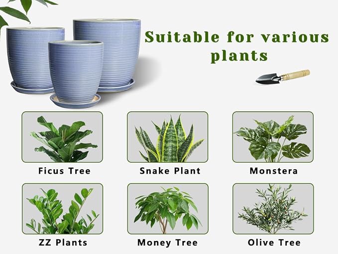10 Inch Plant Pot - Image 8