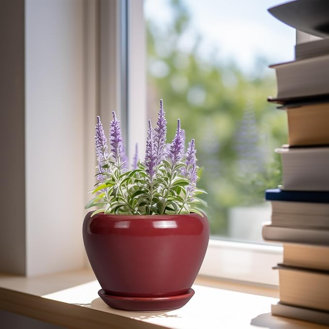 Ceramicfor Ceramic Pot for Plants - Image 2