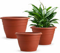 RooTrimmer 3 Pack 11 Inch Plant Pots Lightweight Planters by RooTrimmer