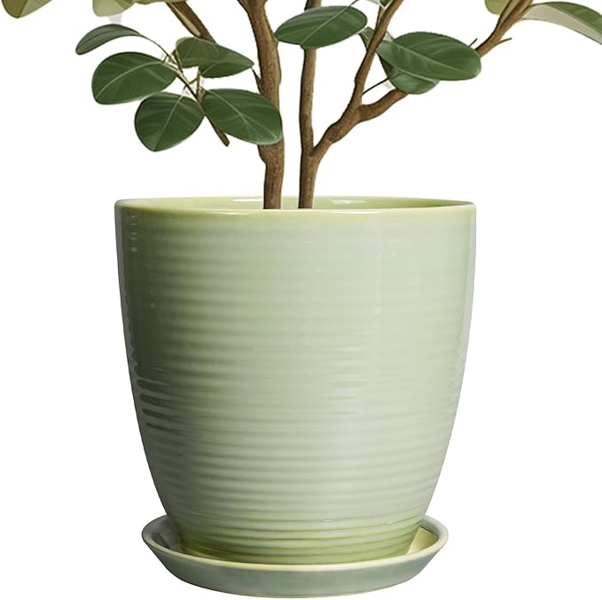 Ceramic Planter by EPFamily