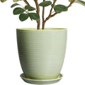 Ceramic Planter by EPFamily