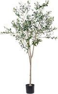 6FT Artificial Olive Tree Indoor by Hobyhoon
