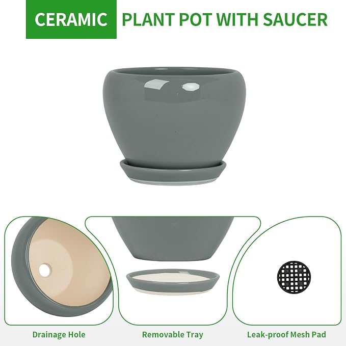 Deep Dream 8 Inch Plant Pots- Ceramic Pots - Image 6