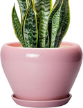 Ceramicfor Ceramic Modern Glaze Succulent Planter Pot by Ceramicfor
