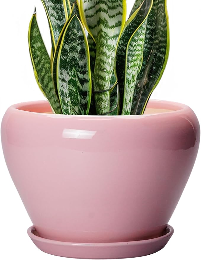 Ceramicfor Ceramic Modern Glaze Succulent Planter Pot by Ceramicfor
