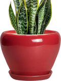 Ceramicfor Ceramic Planter for Indoor Plants 8 Inch by Ceramicfor