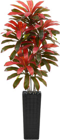 Artificial Dracaena Tree: 7FT Fake Plants Silk Faux Trees（Black Pot） | by TNGGNT
