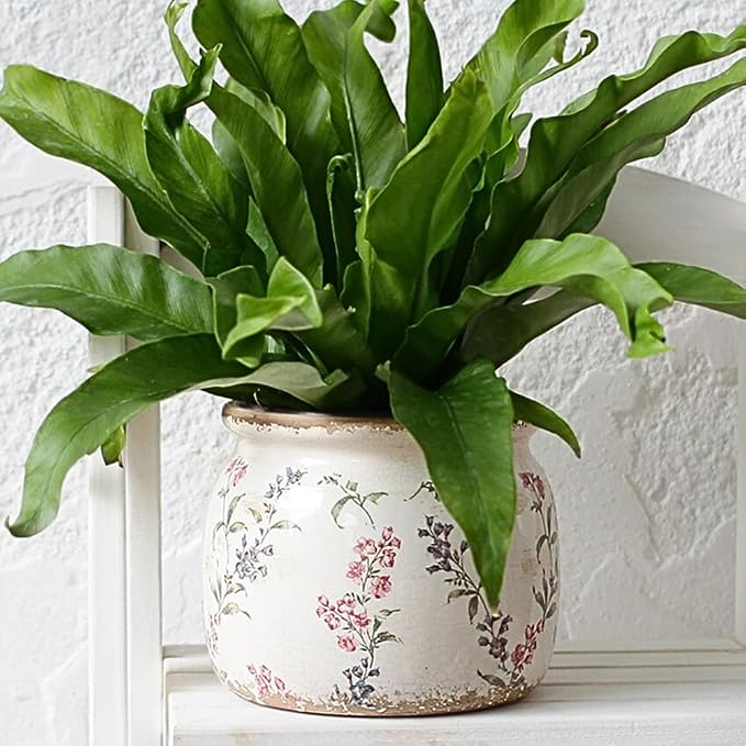 Xiaan Jiaju Flower Pots, Vintage Antique Ceramic Planters - Image 5