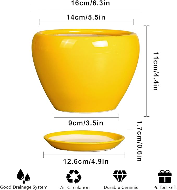 Ceramicfor Ceramic Pot for Plants - Image 3