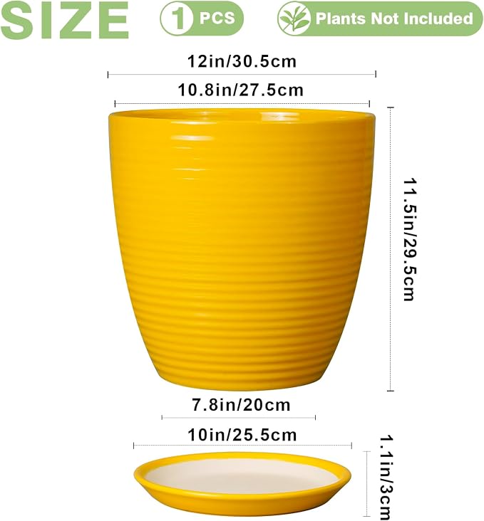 12 Inch Pots for Plants - Image 3
