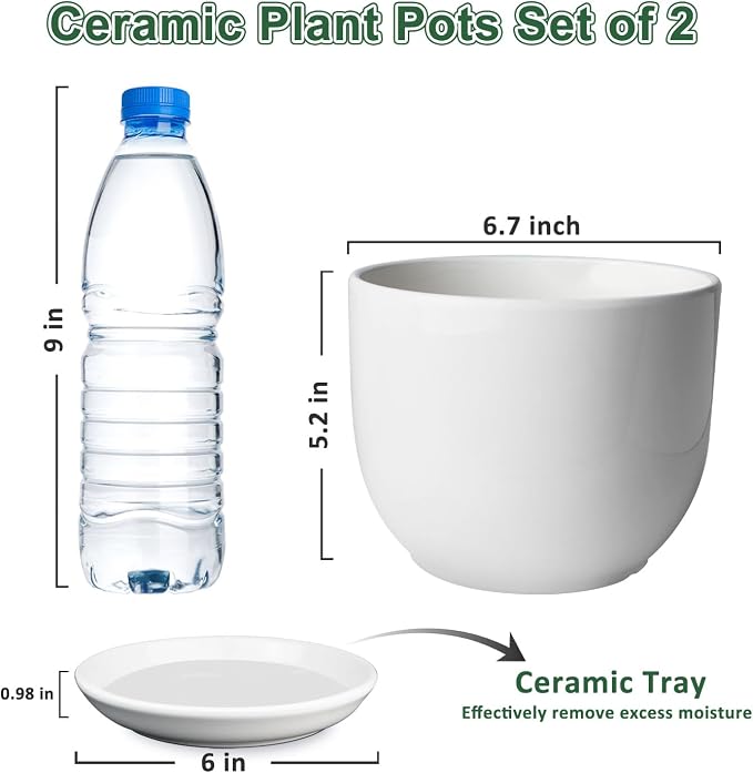 Ceramic Plant Pots, Ceramic Planter - Image 2