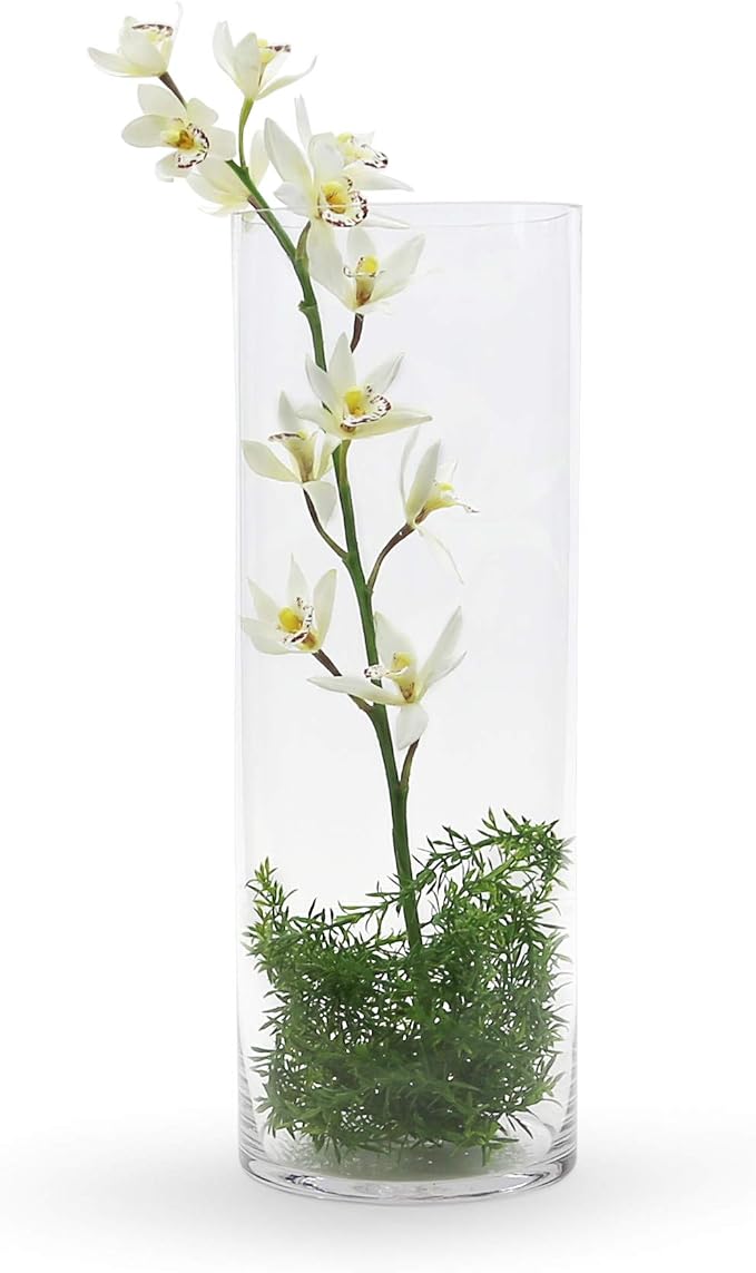 WGV Cylinder Vase Bulk, Width 7", Height 20", Floral Container, Planter - Image 4