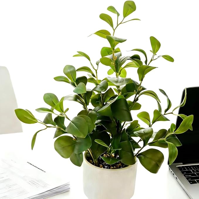 16'' Artificial Ficus Plant in White Textured Ceramic Pot Realistic Faux - Image 5