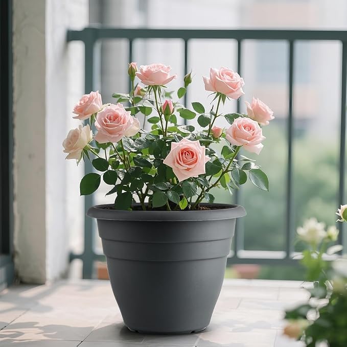 RooTrimmer 12 Inch Plant Pots, Large Planters - Image 7