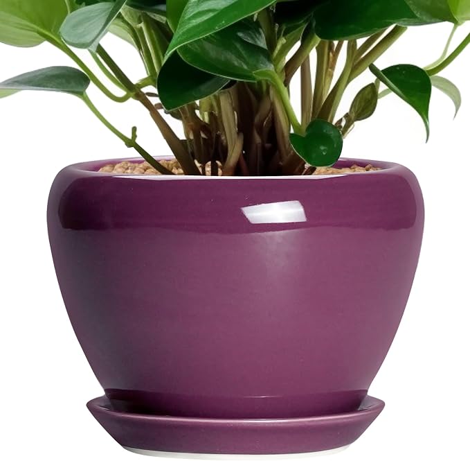 Ceramicfor Ceramic Pots for Plants 6 Inch by Ceramicfor